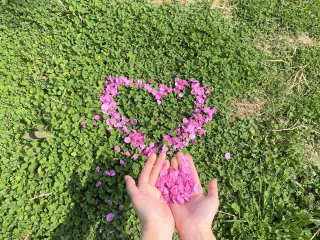 ハートの画像