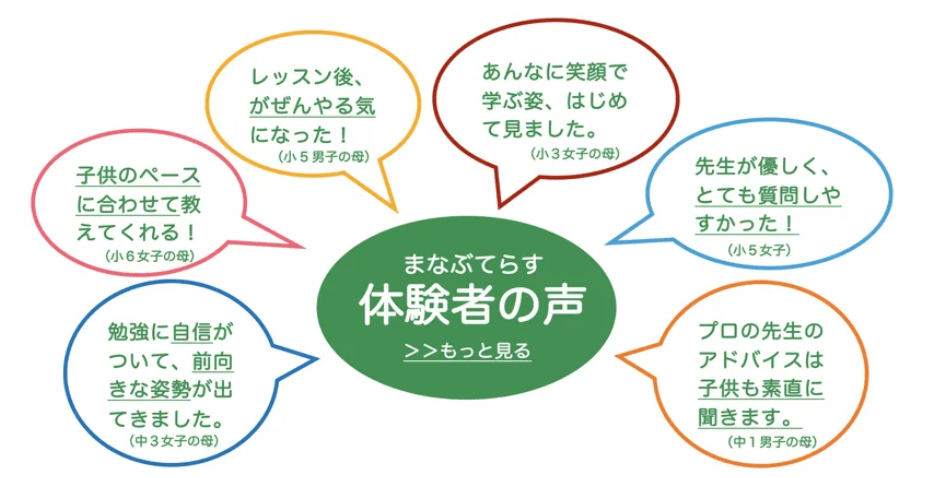 まなぶてらす体験者の声